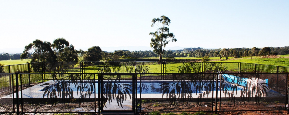 Pool-Perf- Gallery_best pool_fencing_on_the_market-DECORATIVE-10